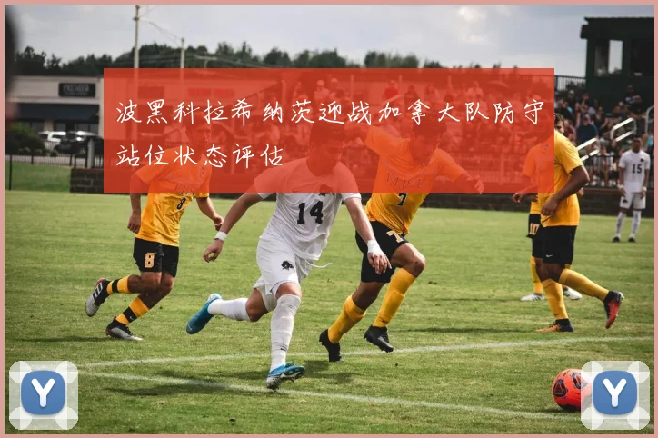 波黑科拉希纳茨迎战加拿大队防守站位状态评估