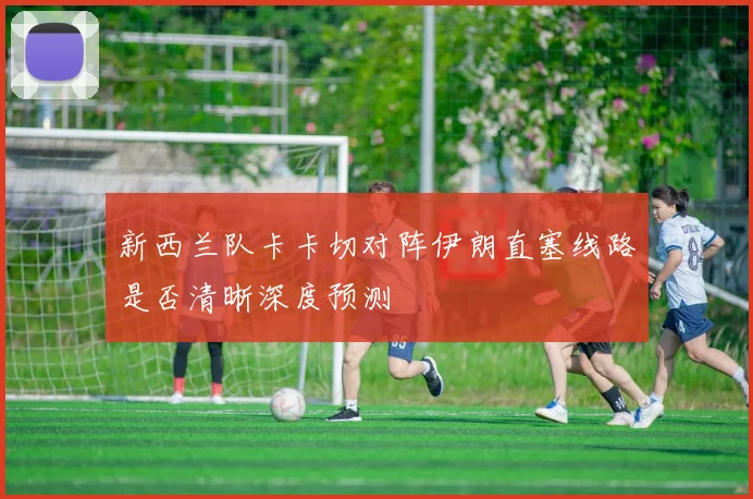 新西兰队卡卡切对阵伊朗直塞线路是否清晰深度预测